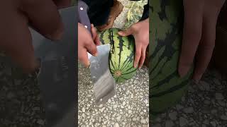 Watermelon cutting 🍉🍉🍉🍉🍉🍉🍉 viralvideo [upl. by Eseela]