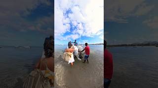 dolphin mauritius tamarin snorkeling lemorne vlog travel islandlife insta360x4 [upl. by Wenda]