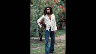 Bob Marley  Blackman Redemption 432Hz [upl. by Ahsimot]