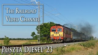 Puszta Diesel  EuroCity quotTransilvaniaquot July 89 2023 [upl. by Siroved482]