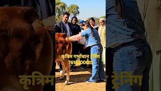 कृत्रिम गर्भाधान ट्रेनिंग ai song livestock [upl. by Oraneg881]