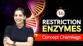 ConceptChamkega  Restriction Enzymes  Biology  NEET 2022  Physics Wallah Shorts [upl. by Enaxor]