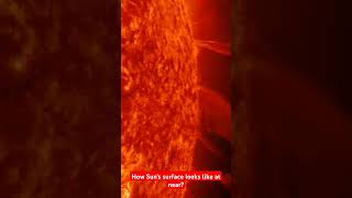 How Surface of the Sun looks like facts sciencefacts sun corona [upl. by Ellehcyt]