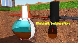 Septic Tank Soakaway Worms [upl. by Halimeda]