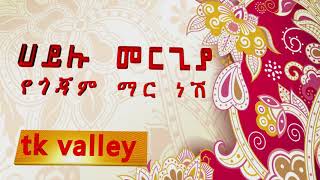 Hailu Mergia  ሀይሉ መርጊያ የጎጃም ማር ነሽ [upl. by Gnol596]