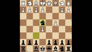 Fajarowicz Gambit  Chess Opening [upl. by Ecnadnak]