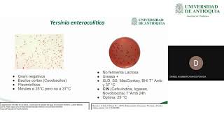 Club Revistas Yersinia Enterocolitica Outbreak Associated with Pasteurized Milk  Dr Daniel Vahos [upl. by Turnbull393]