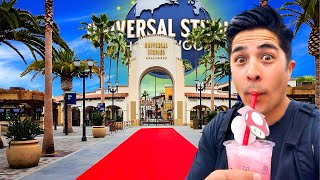 Universal Studios Hollywood 2024 MEGA UPDATE [upl. by Joana]