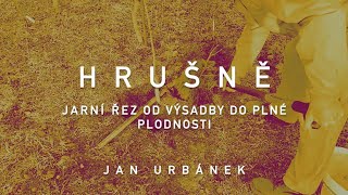 Jarní řez hrušky – od výsadby do plné plodnosti [upl. by Shelby]