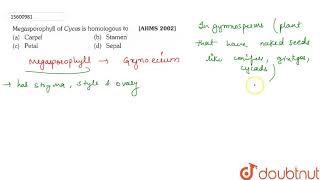 Megasporophyll of Cycas is homologous to [upl. by Dominique]