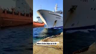 Cruise Ship Bone Yard ships ocean boats boneyard interesting viralposts yacht cruise [upl. by O'Dell]