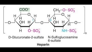 Heparin blood anticoagulant Blood Thinner made from Dog Liver [upl. by Manus]