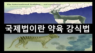 자유파시즘 “국제법은 서구 문명의 법이다” 국제재판소 정관 28조 [upl. by Ecnaiva]