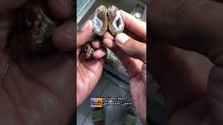 سنگ شانسی گوگولی🥹👽 crystals amatista stone ifhewantedtohewould agate ترند wood crystalshop [upl. by Nuahsel]