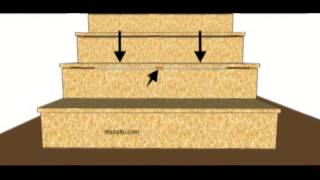 Use Riser to Support Tread or Step – Stair Building Tips [upl. by Fiora611]