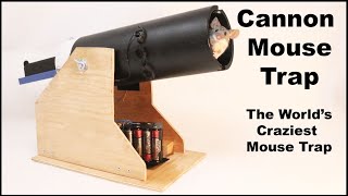 Cannon Mouse Trap  The Worlds Craziest Mouse Trap Mousetrap Monday [upl. by Zabrina]