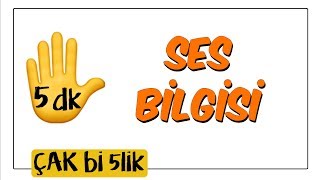 5 dkda Ses Bilgisi  Çak Bi 5lik [upl. by Augy539]