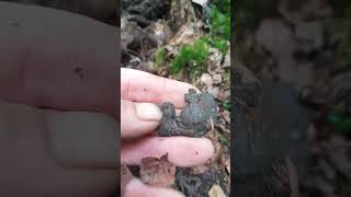 ww1 german pickelhaube eagle excavation xp deus digging german bunker ww1 trash [upl. by Folger]