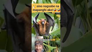 kala nyo lang mapanghi ako forintertainmentonly funny highlights [upl. by Josler747]