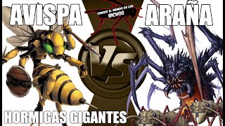 AVISPA VS ARAÑA  CON HORMIGAS GIGANTES [upl. by Ottillia965]