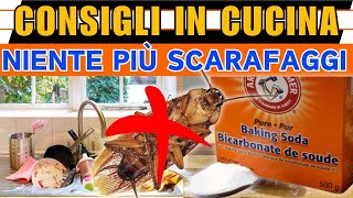 Consigli per mantenere la cucina pulita e libera dagli scarafaggi [upl. by Kcinomod863]