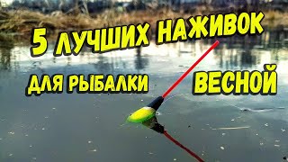 5 лучших наживок для рыбалки весной по холодной воде [upl. by Paco155]