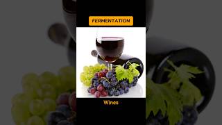 FERMENTATION fermentationyeastwine  WHAT IS FERMENTATION shortsviraltrending [upl. by Nawak829]