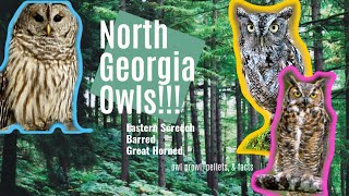 EXPLORE Georgia Owl Prowl amp FACTS  Screech Barred Great Horned [upl. by Panta]