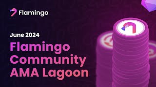 Flamingo Finance Community Lagoon Event June 25 2024 [upl. by Nyleuqcaj]