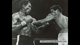 Wilfred Benitez vs Antonio Cervantes Highlights [upl. by Wilkens744]