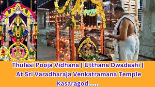 Thulasi Pooja Vidhana  Utthana Dwadashi  At Sri Varadharaja Venkatramana Temple Kasaragod [upl. by Haneen]