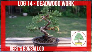 Bonsai Log  14  J procumbens Nana Deadwood Work [upl. by Feingold]