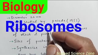 Ribosomes in Urdu  class11 biology ribosomes biology class11 [upl. by Ofloda]