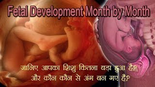 Month by Month Baby Development हरेक महीने आपका शिशु ऐसे बढ़ता है [upl. by Dewayne932]