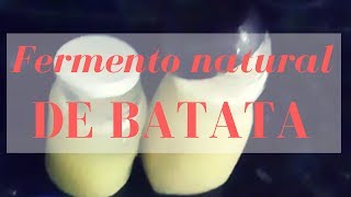 COMO FAZER FERMENTO NATURAL DE BATATA [upl. by Belac193]