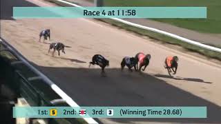 Kinsley Greyhound Races on 22nd March 2023 [upl. by Lasala726]