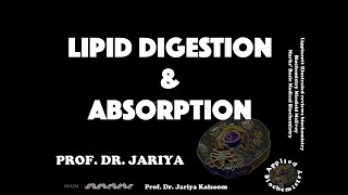 LIPID DIGESTION amp ABSORPTION [upl. by Osbourne]