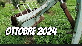 vlog 14  ottobre 2024  lavori del mese ferri rotti e letame [upl. by Esimehc423]