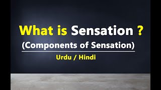 What is Sensation amp Components of Sensation  Hindi  Urdu [upl. by Hoeve]