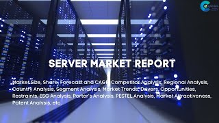 Server Market Report 2024 [upl. by Blythe]