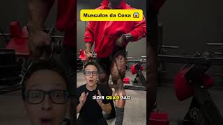 Músculos da Coxa 😱medicina medico academia treino musculação musculacao anatomia enfermagem [upl. by Esenahs]