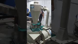 10HP IMPACT PULVERISERBESAN GRINDERTURMERIC GRINDERSATTU GRINDER [upl. by Ahseiyt]