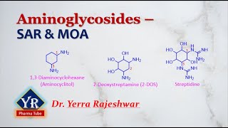 Aminoglycosides  SAR amp MOA  sar of Aminoglycosides  moa of Aminoglycosides  YR Pharma Tube [upl. by Deeanne]