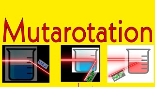 Mutarotation in biochemistry ll Mechanism of mutarotation in biochemistry II Process of mutarotation [upl. by Nayve]