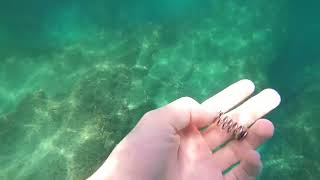 Picking up nice trash from underwater at Tel Dor Beach Israel [upl. by Wilbert]