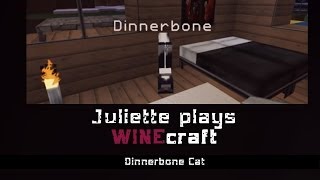 FTWCraft  How to remove or reverse DINNERBONE on Minecraft [upl. by Salahcin938]