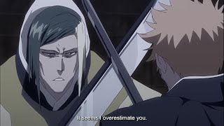 Ichigo VS Kageroza English Sub [upl. by Trevlac]