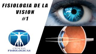 Fisiologia de la Vision 1 [upl. by Diamante]