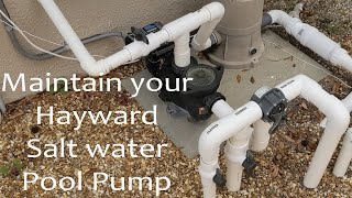 How to Clean your Hayward Saltwater Pool Filtration System [upl. by Segal]