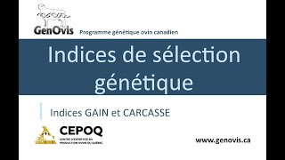 Présentation des indices de sélection génétique GAIN et CARC du programme GenOvis [upl. by Winer103]